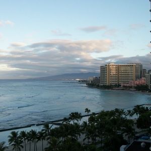 Meet your Posher, Rogene